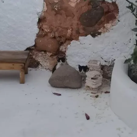 Дом отдыха Casa Bartolo